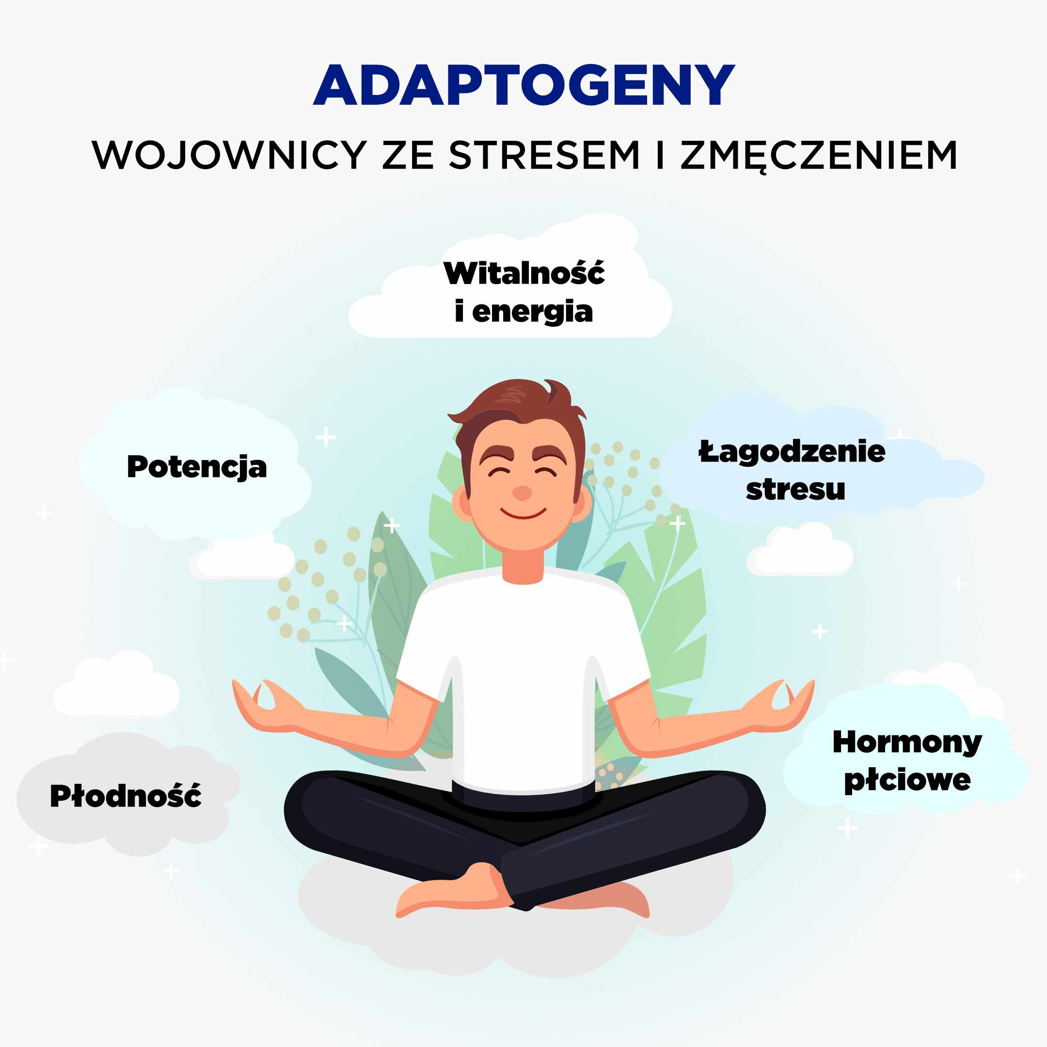 adaptogeny_infografika_cz